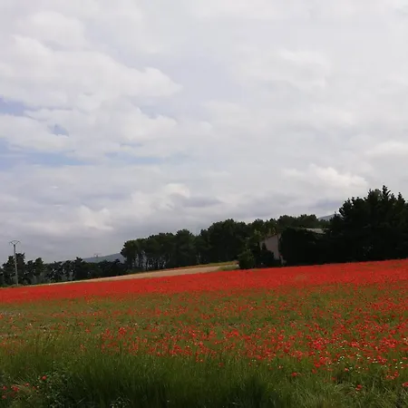 Dans Petit Havre De Paix Avec Piscine Chauffee Au Coeur Du Luberon